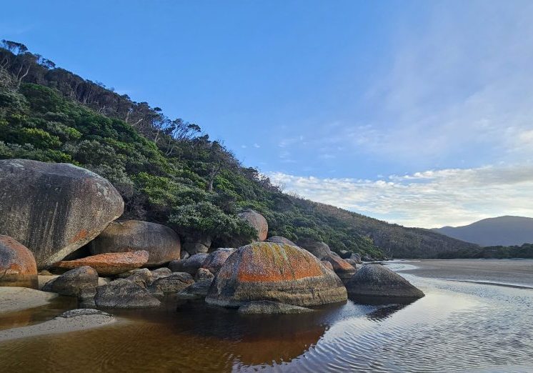 Tidal River Federation Walks